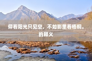 走马赴任成语的解释