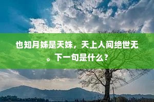 齐趋并驾成语的拼音