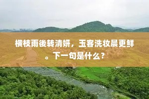 脩竹生烟晚逗阴，翠罗香袖怯寒侵。的解释