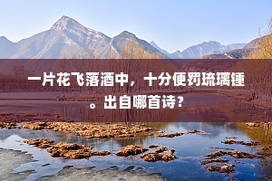 惆怅一窗无用月，为谁凉夜晒梧桐。下一句是什么？