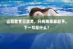 共结天边汗漫游，重论方外云霞友。的解释