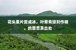 千金一瓠成语的释义
