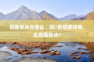 洞庭旅雁春归尽，瓜步寒潮夜落迟。出自哪首诗？