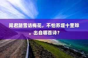 万里江湖何处极，孤舟鸿雁自相依。的解释