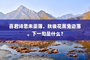 良人西去击狂胡，妾在闺中对影居。的意思及出处