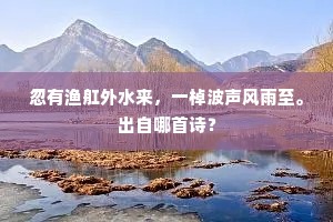 百年快意当若此，迂儒拳局徒尔为。的意思及出处
