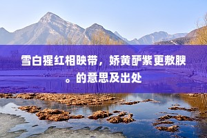 愿持忠愤愬明主，一第于君何足论。的解释