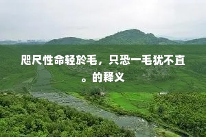 五公握手向我笑，下见劫火扬尘灰。上一句是什么？