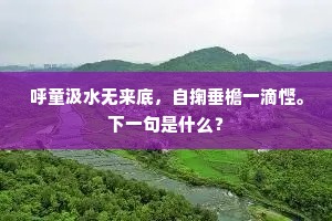 须君之行当何时，共向丹崖卧松雪。的释义