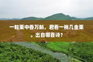 台前呼酒折荷花，水净烟明散落霞。出自哪首诗？