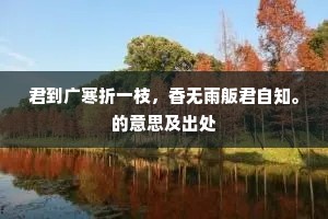 兴来目送海边鸿，归心挂在闽溪树。的解释
