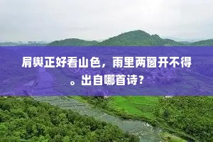 人生四十未为老，我已白头色枯槁。的解释