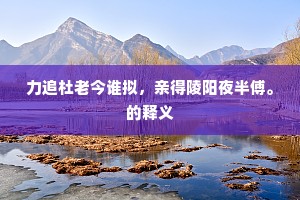 王师北伐何仓卒，六郡丁男亳州骨。的解释