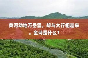 荆楚奇材多剑客，感慨相逢思报国。上一句是什么？