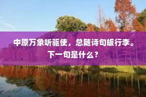 调琴鼓罢清商曲，愁见孤鸿天际飞。的释义
