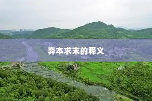 我今居閒百无念，夜半始寝起及暾。下一句是什么？