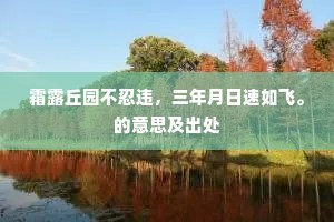 名山三在蛮夷国，方土之书犹信然。全诗是什么？