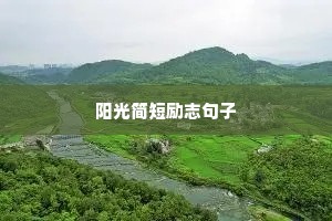 寂寞想土阶，未遑等箕颍。的释义