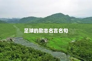 穿凿附会的解释