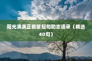 寸有所长的释义