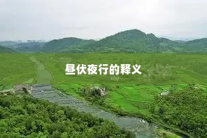 昼伏夜行的释义