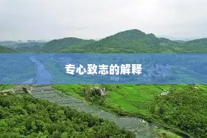 专心致志的解释