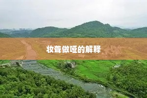 妆聋做哑的解释