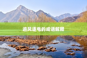 追风逐电的成语解释