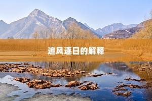 追风逐日的解释