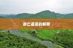 追亡逐遁的解释