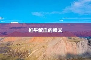 椎牛歃血的释义
