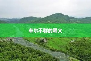 卓尔不群的释义