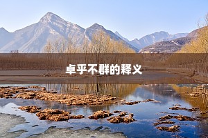 卓乎不群的释义