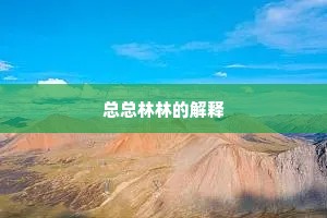 总总林林的解释