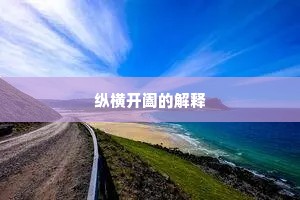纵横开阖的解释