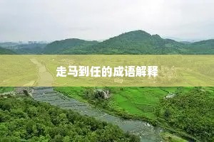 走马到任的成语解释