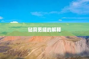 钻洞觅缝的解释