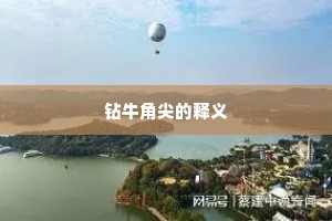 钻牛角尖的释义