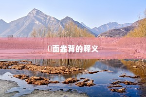 晬面盎背的释义