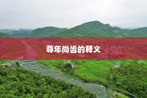尊年尚齿的释义