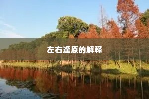 左右逢原的解释