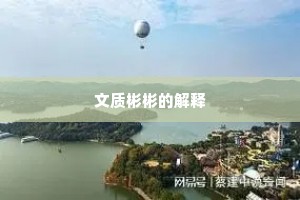 文质彬彬的解释