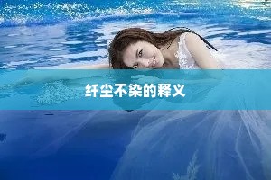纤尘不染的释义