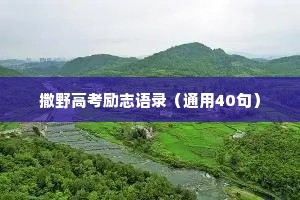 干净走心又治愈的情感文案（精选40句）