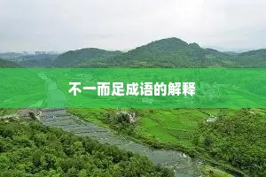 不一而足成语的解释