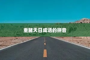 重睹天日成语的拼音