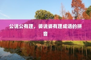 公说公有理，婆说婆有理成语的拼音