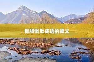 倾肠倒肚成语的释义