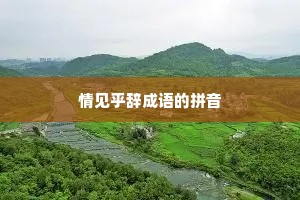 情见乎辞成语的拼音