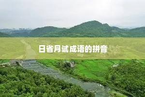 日省月试成语的拼音
